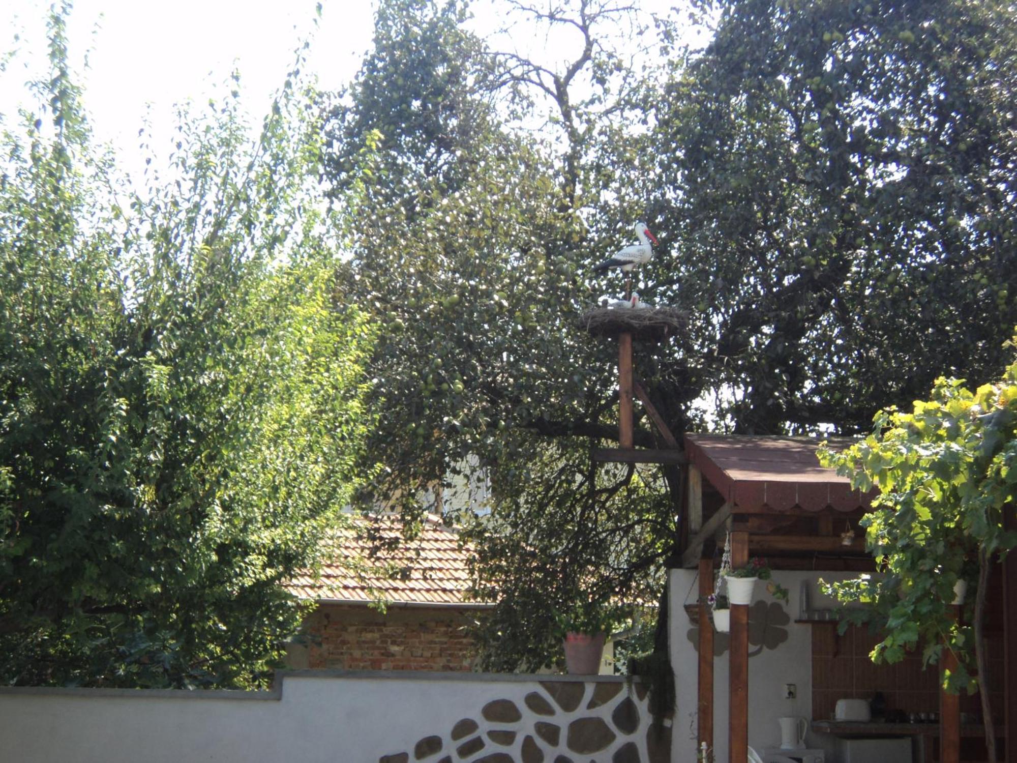 Guest House Drazhev Obzor Exterior foto